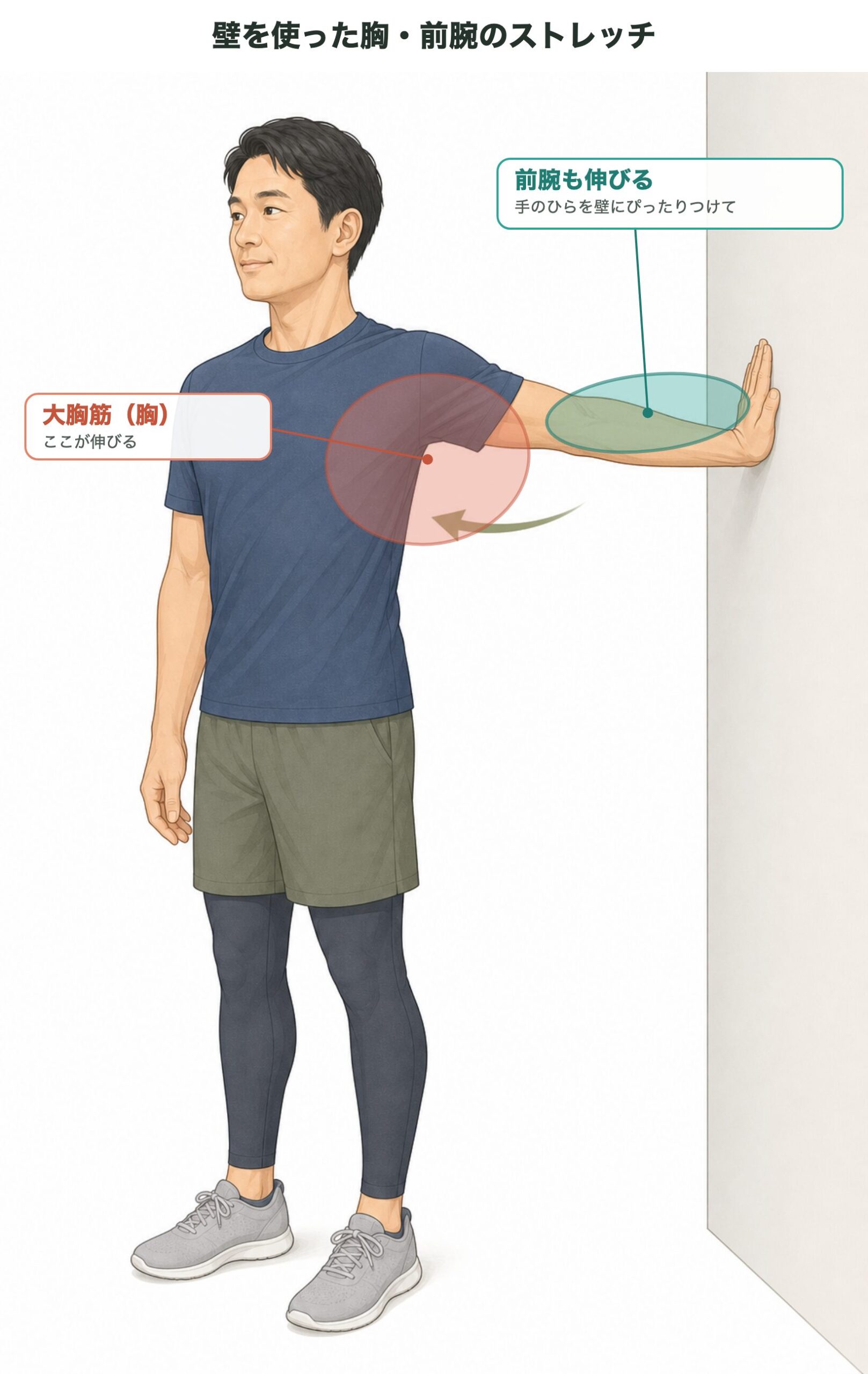 壁に手のひらをつけて行う胸と前腕のストレッチ
